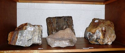 Lot 419 - Three pieces of fossilised tree trunk and a piece of stalactite (4)