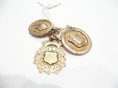 Lot 425 - Three 9ct gold shields