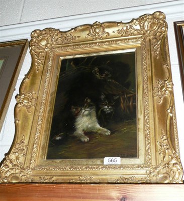 Lot 565 - Gilt framed oil on canvas of three cats signed R T Riding