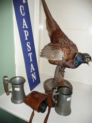 Lot 210 - Mounted pheasant, pair of binoculars, two pewter tankards and two Capstan advertising signs