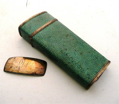 Lot 338 - A shagreen case lacking contents