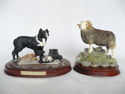 Lot 1007 - Border Fine Arts 'Herdwick Tup', model No. BO705 by Ray Ayres, Ltd. edition No. 246/750, 17.8cm...