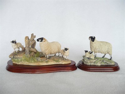 Lot 1013 - Border Fine Arts Sheep 'Wrong Side of the Fence', model No. JH100 by Anne Wall, Ltd. edition...