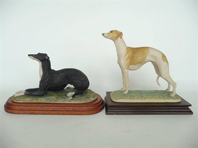 Lot 1023 - Border Fine Arts Greyhound (lying), model No. 064B by David Geenty, black and white, 11.9cm high on