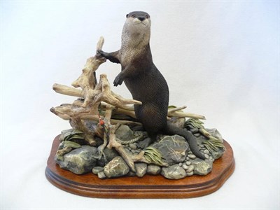 Lot 1032 - Border Fine Arts Otter 'River Sentinal', model No. BO362 by Ray Ayres, Ltd. edition No....