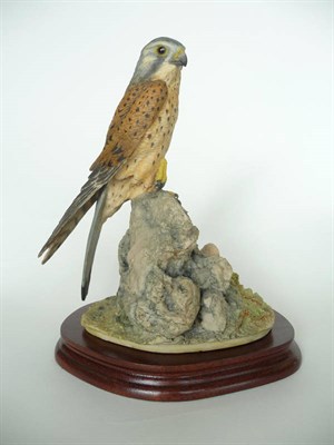 Lot 1040 - Border FIne Arts 'kestrel' (style one), model No. 032B by David Geenty, issued 1977-1982,...