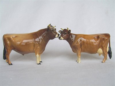 Lot 1075 - Beswick Jersey Bull Ch. 'Dunsley Coy Boy', model No. 1422, 11.9cm high and Jersey Cow Ch....