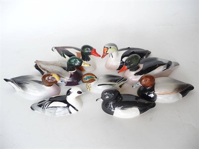 Lot 1080 - Nine Beswick 'Peter Scott' Ducks, Mallard, (small) No. 1518; Pochard, No. 1520; King Eider, No....