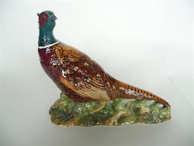 Lot 1081 - Beswick Pheasant, model No. 1225B, brown, teal green and cream gloss, 19.7cm high