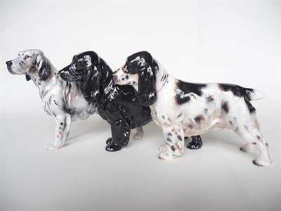 Lot 1083 - Royal Doulton Cocker Spaniel 'Lucky Star of Ware', HN1020, model No. 709A, black, 17.8cm,...