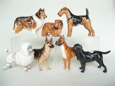 Lot 1088 - Seven Royal Doulton Dogs, Pekinese Ch. 'Biddee of Ifield', HN1012, model No. 734B; Airedale Terrier