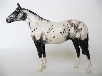 Lot 1106 - Beswick Appaloosa Stallion, model No. 1772, white with black and brown markings (second colourway)