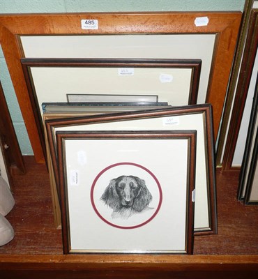 Lot 485 - Quantity of Dachshund prints