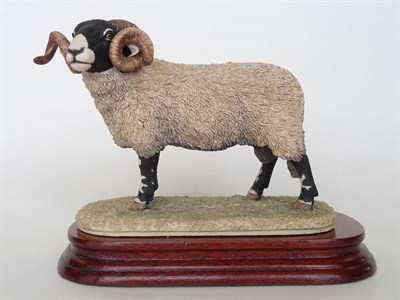 Lot 185 - A Border Fine Arts 'Swaledale Tup - Monarch of the Dales', model No. L148 by Ray Ayres, Ltd....