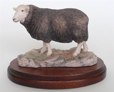 Lot 186 - A Border Fine Arts 'Herdwick Ewe', model No. 118 by Ray Ayres, 10cm high on wood base with box