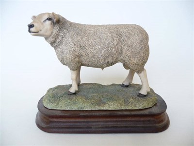 Lot 187 - A Border Fine Arts 'Texel Ram', model No. L108 by Ray Ayres, Ltd. edition No. 395/850, 13.3cm...