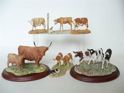 Lot 190 - Six Border Fine Arts Cattle 'Highland Cow and Calf', model No. B167; 'Three Young Calves',...