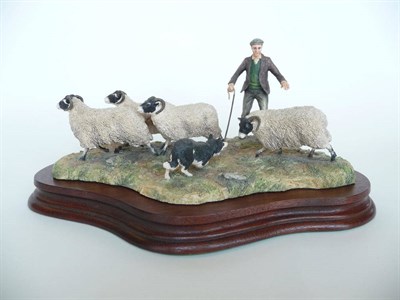 Lot 198 - A Border Fine Arts Sheep group 'Shedding', model No. L113 by Ray Ayres, Ltd. edition No....