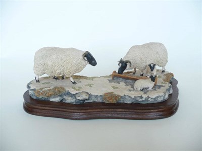 Lot 202 - A Border Fine Arts group 'Early Lambs, Late Snow', model No. 113 by Ray Ayres, 14cm high on...