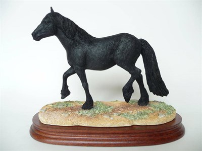 Lot 221 - A Border Fine Arts 'Cumbrian Fell Pony', model No. BO812 by Kirsty Armstrong, Ltd. edition No....