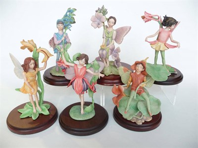 Lot 232 - Six Border Fine Arts Flower Fairies, all style one models, 'Nasturtium', model No. CF7;...