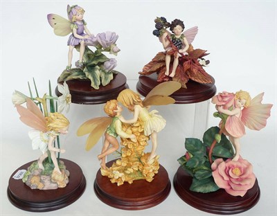 Lot 233 - Five Border Fine Arts Flower Fairies, all style one models, 'Rose', CF20, Ltd. Ed. 326/1950;...