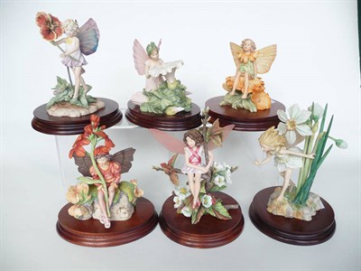 Lot 234 - Six Border Fine Arts Flower Fairies, all style one models, 'Narcissus', No. CF24, Ltd. Ed....