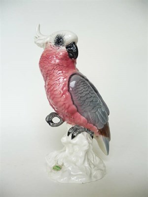 Lot 246 - A Beswick Cockatoo, model No. 1180, pink, grey and cream gloss, 21.6cm high