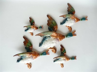 Lot 247 - Five Beswick Flying Mallard Wall Plaques, models 596/0, 596/1, 596/2, 596/3 and 596/4, largest...