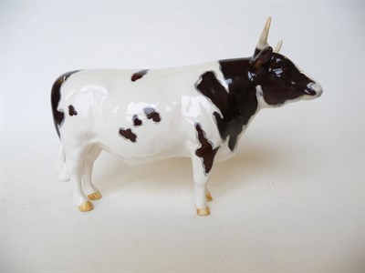 Lot 253 - A Beswick Ayrshire Bull Ch. 'Whitehill Mandate', model No. 1554B, dark brown and white gloss,...