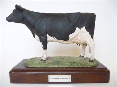 Lot 267 - A Shebeg Pottery Friesian Cow 'Ullswater Beatexus 8' by John Harper, black and white matt,...