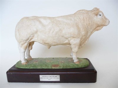 Lot 269 - A Shebeg Pottery Blonde D'Aquitaine Bull by John Harper, cream matt, 17.9cm high on wood base...