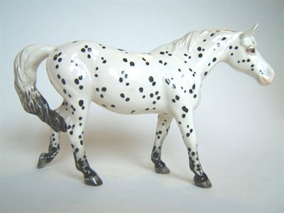 Lot 281 - A Beswick Appaloosa Pony, model No. 1516 (walking), white with black spots, gloss, 13.3cm high