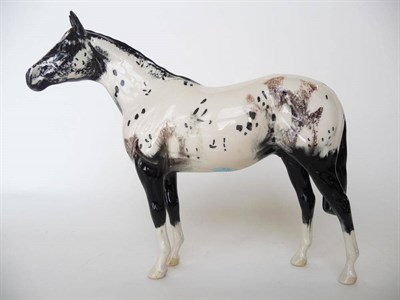 Lot 282 - A Beswick Appaloosa Stallion, model No. 1772 (second colourway), white with black/brown...