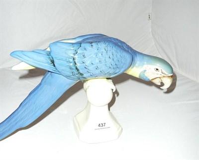 Lot 437 - A Royal Dux parrot