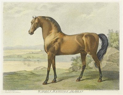 Lot 610 - George Townly Stubbs (1756-1815) after George Stubbs A.R.A. (1724-1806) "Warren Hastings'...