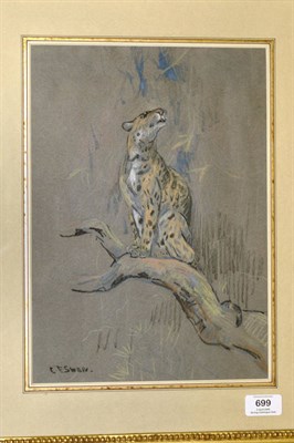 Lot 699 - Cuthbert Edmund Swan (1870-1931) Study of a Leopard in a Tree Signed, pastel and coloured chalks on