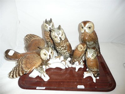 Lot 154 - Five Continental owl groups