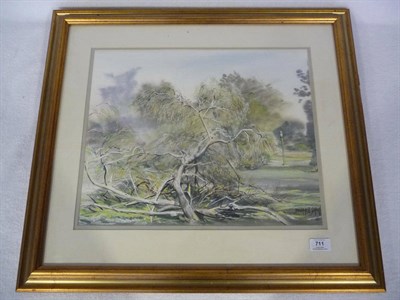 Lot 711 - Tony Brummell-Smith (b.1949)  Trees beside a Path Signed, inscribed with the date 1985 on an...