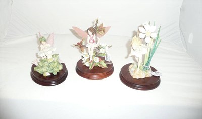 Lot 430 - Three Border Fine Arts Flower Fairies, all style one models, 'Narcissus', No. CF24, Ltd. Ed....