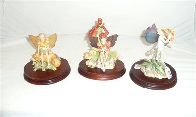 Lot 433 - Three Border Fine Arts Flower Fairies all style one models, 'Wallflower', No. CF27, Ltd....