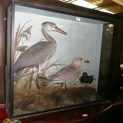 Lot 589 - A Cased Taxidermy Display of Three Water Birds - Heron, Gull and Oyster Catcher, preserved in a...