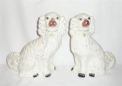 Lot 23 - Pair of large Staffordshire King Charles spaniels