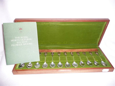 Lot 218 - A cased set of twelve Royal Horticultural Society silver and silver gilt flower spoons