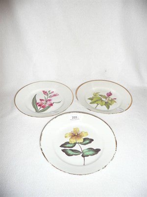 Lot 222 - Three Derby botanical plates