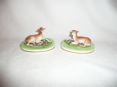 Lot 284 - Pair of English porcelain figures of a deer and doe