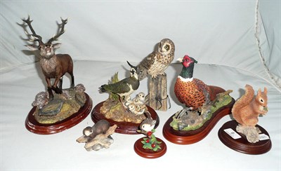 Lot 8 - Border Fine Arts stag, pheasant, lapwing, short eared owl and three other pieces