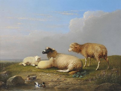 Lot 869 - Franz van Severdonck (1809-1889) Belgian Sheep and Lambs with Ducks in the Foreground Signed,...