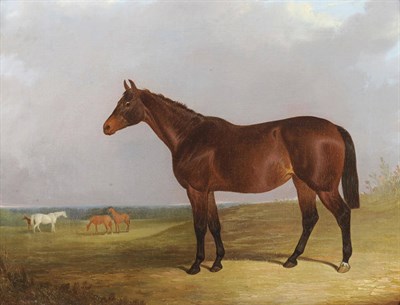 Lot 901 - John Dalby (fl.1826-1853) "Nama", bay racehorse standing in a landscape Signed, inscribed on a...