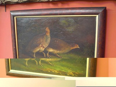 Lot 904 - Follower of Stephen Elmer (19th century) Two Partridges in Undergrowth Inscribed on an old...